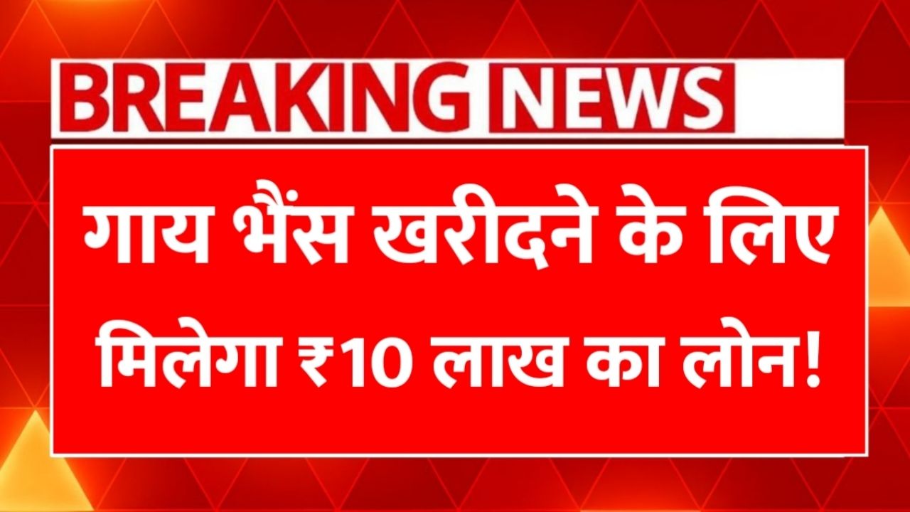 Pashupalan Dairy Loan 2025